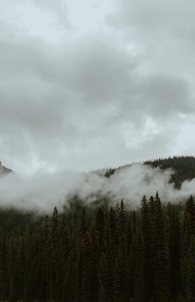 moody shot of low clouds in the mountains of BC