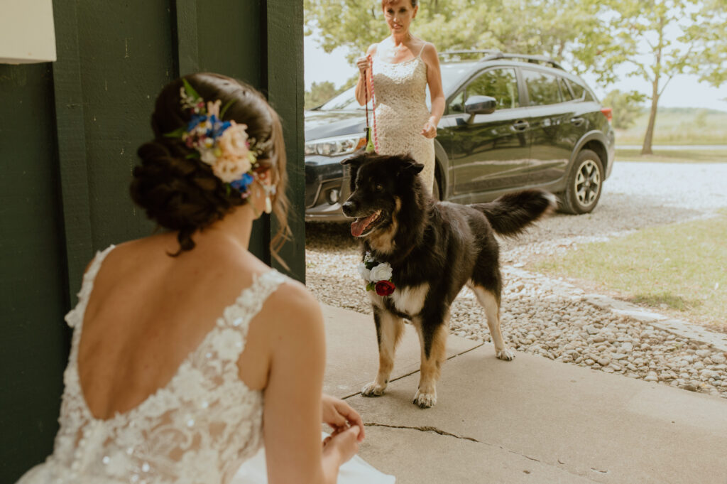bride does first look with dog during a southern ontario summer wedding